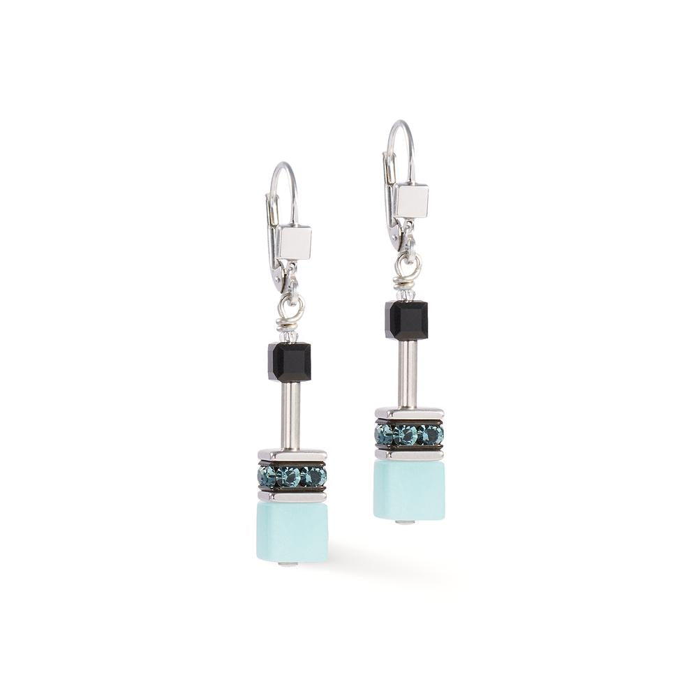 Pendant d'oreilles Acier inoxydable