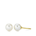 577434 main