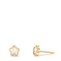 Clous d'oreilles Or jaune 18K nacre Fleur Ø4 mm