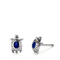 Clous d'oreilles Argent Lapis-lazuli Tortue-112443