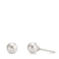 Ohrstecker Silber rhodiniert shining Pearls-575790