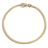 Bracelet Or jaune 375/9 ct. 19 cm-598796