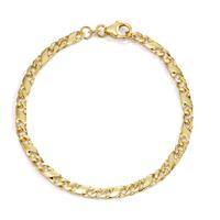 Bracelet Or jaune 585/14 K 19 cm-607606